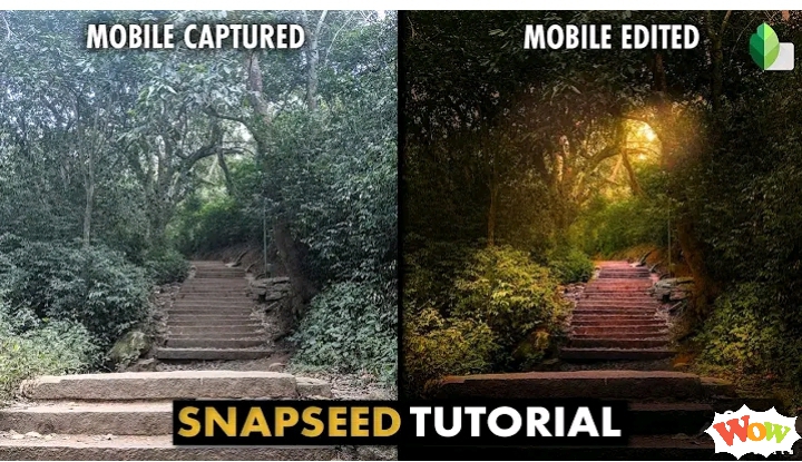 Lightroom vs Snapseed: editing skill