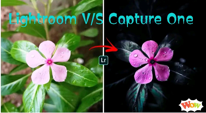 Lightroom vs Capture One: Which One Is Right For You in 2024